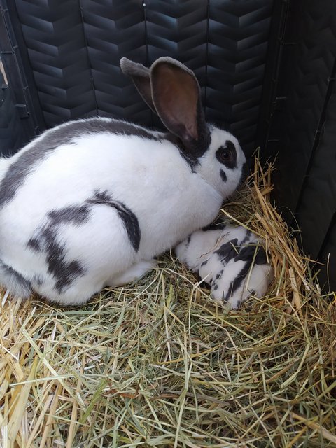 164792565-204440941476045-2860299164568623985-o