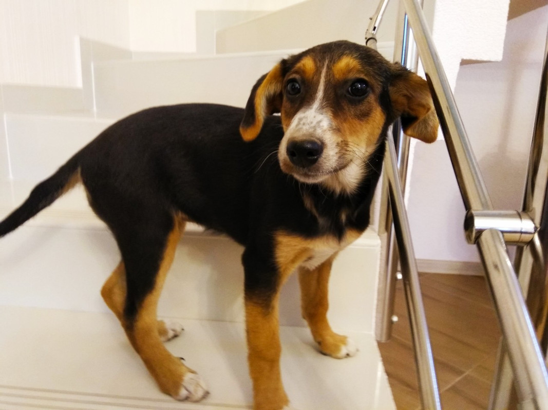 изображение_viber_2019-09-21_17-37-19