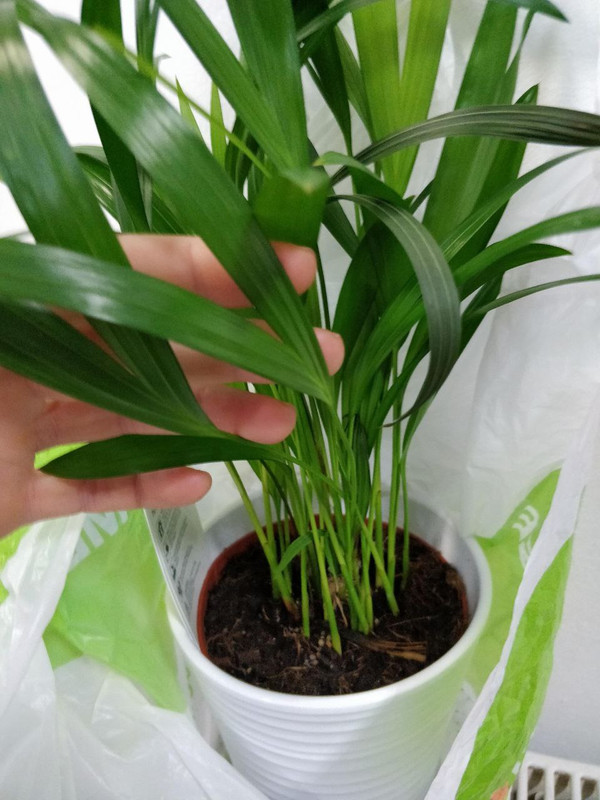 photo 17 2025 10 15 22 26 38