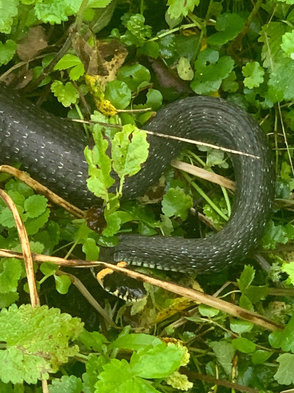 29D1ECC3-7339-4A6E-AD88-D348FFF81D38