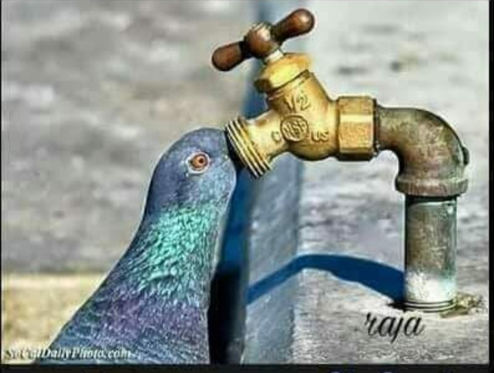 Screenshot-2021-04-13-10-28-34-829-com-a