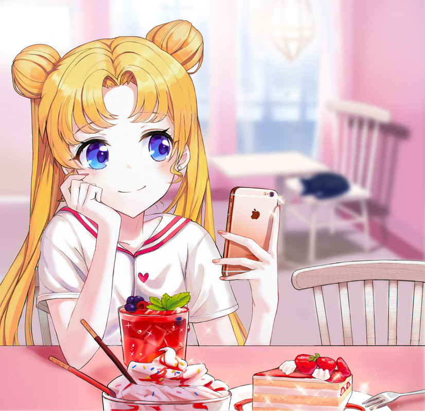 tsukino-usagi-and-luna-bishoujo-senshi-sailor-moon-drawn-by-ir