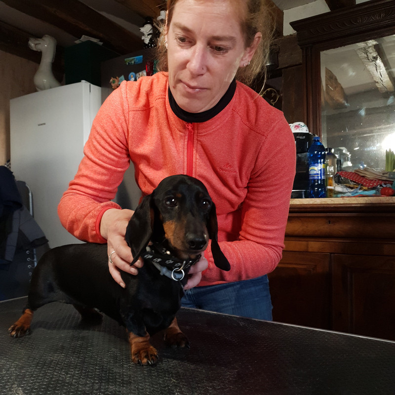 [Image: 20210126-155242.jpg]