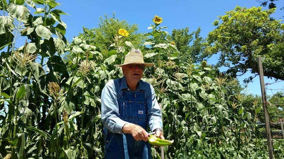 F1604076-AB2A-4EBC-B895-446493F271EB