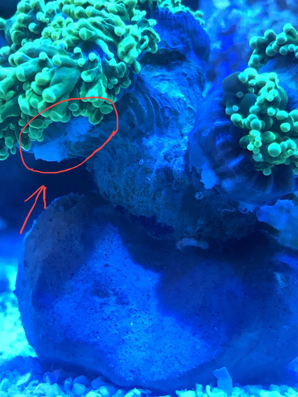 641F3BB8-BA8A-4BA3-8926-B68BFFEDD10C