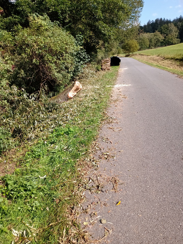 IMG_20240918_143243822~3