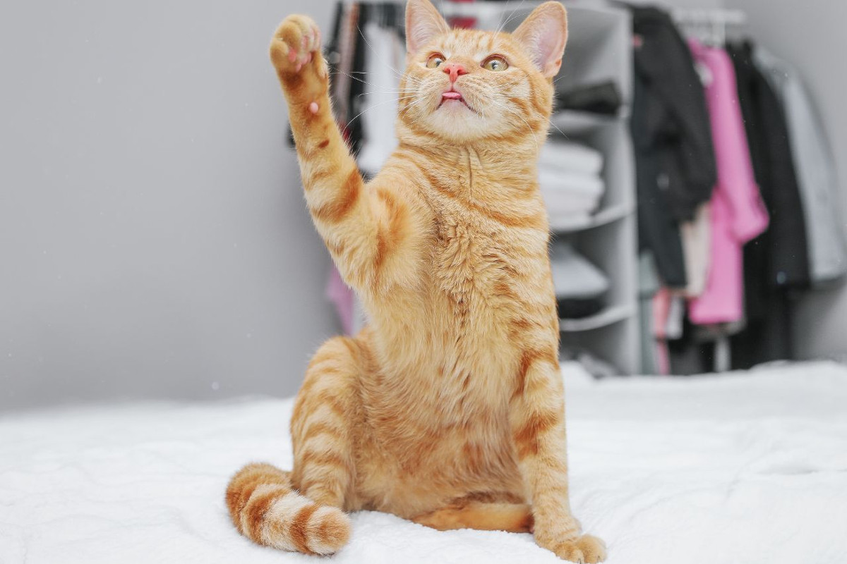 photo_2023-08-17_17-54-38 (3)