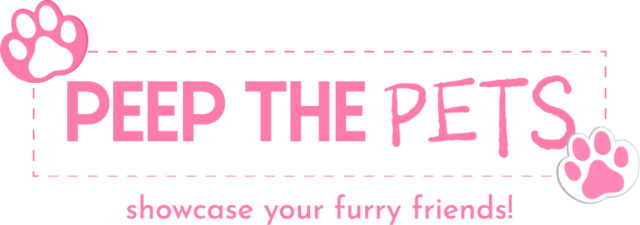 Asset-2.png
