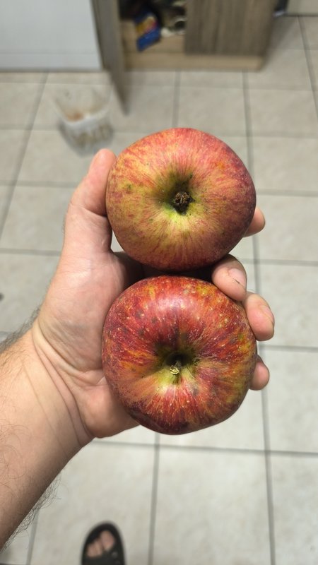 Obrazek