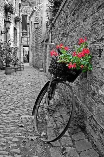 ff1d1744fac999dfc25a7d8c996d4380