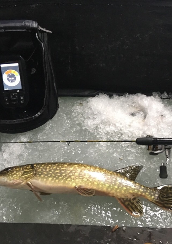 793EA370-9FEC-491D-B859-574B54D37384