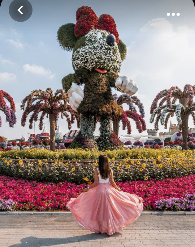 Screenshot_20231006_203240_Pinterest