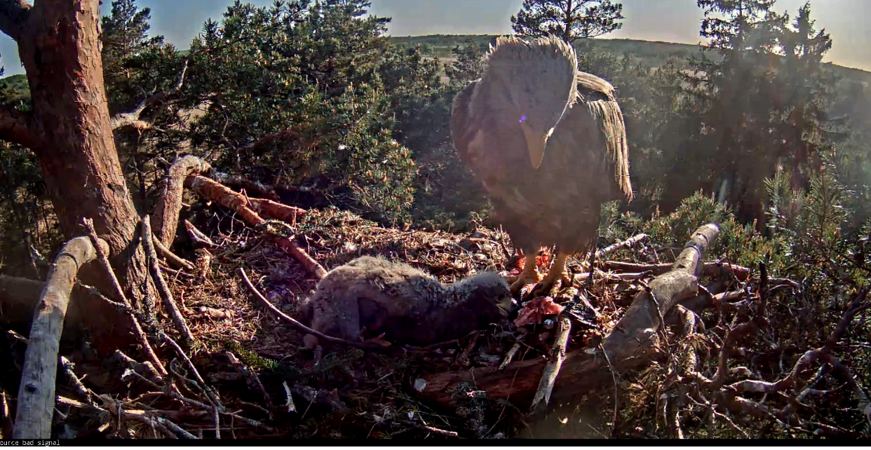 Képernyőkép – 2018-05-18 18-55-45