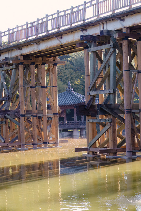 korea2024LRexport-17