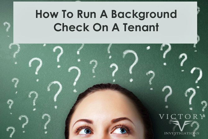 how to run a background check