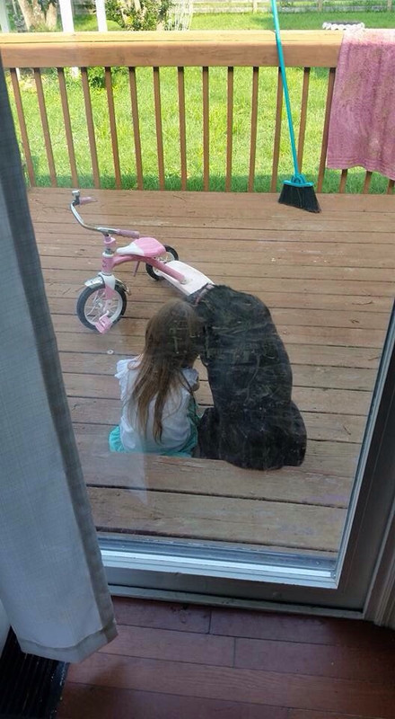mans-best-friend-91