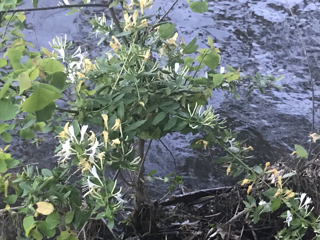 6B61680A-FC95-438A-B7E2-EA82D7D10387