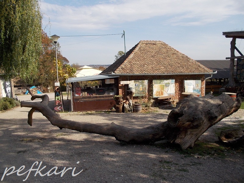 Slika