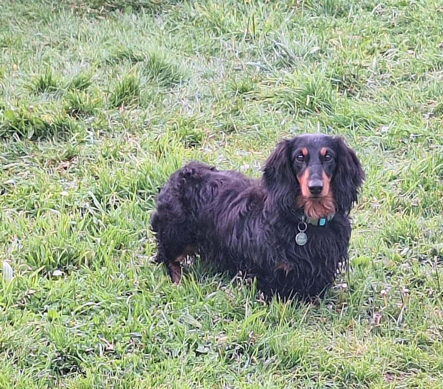 [Image: 20240426-193339.jpg]