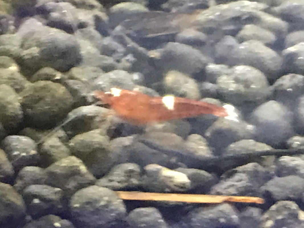 44D4557B-408B-4960-AAC8-77738F592D3D