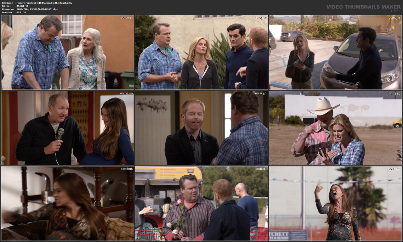 Modern Family S04E10 Diamond in the Rough.mkv