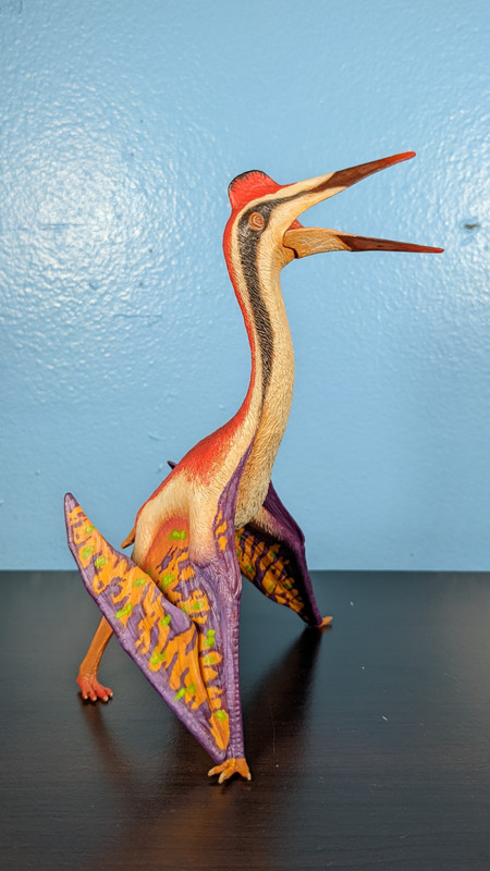 Custom Dinotopia Quetzalcoatlus "Skybax" by paintingdinos PXL-20220306-011721165-MP