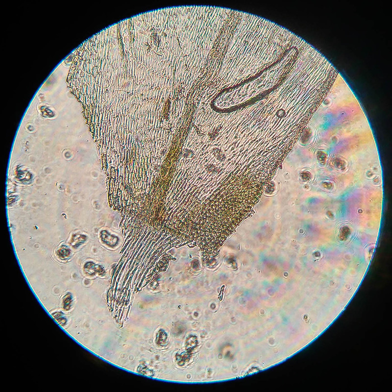 IMG 20250616 213140 HDR