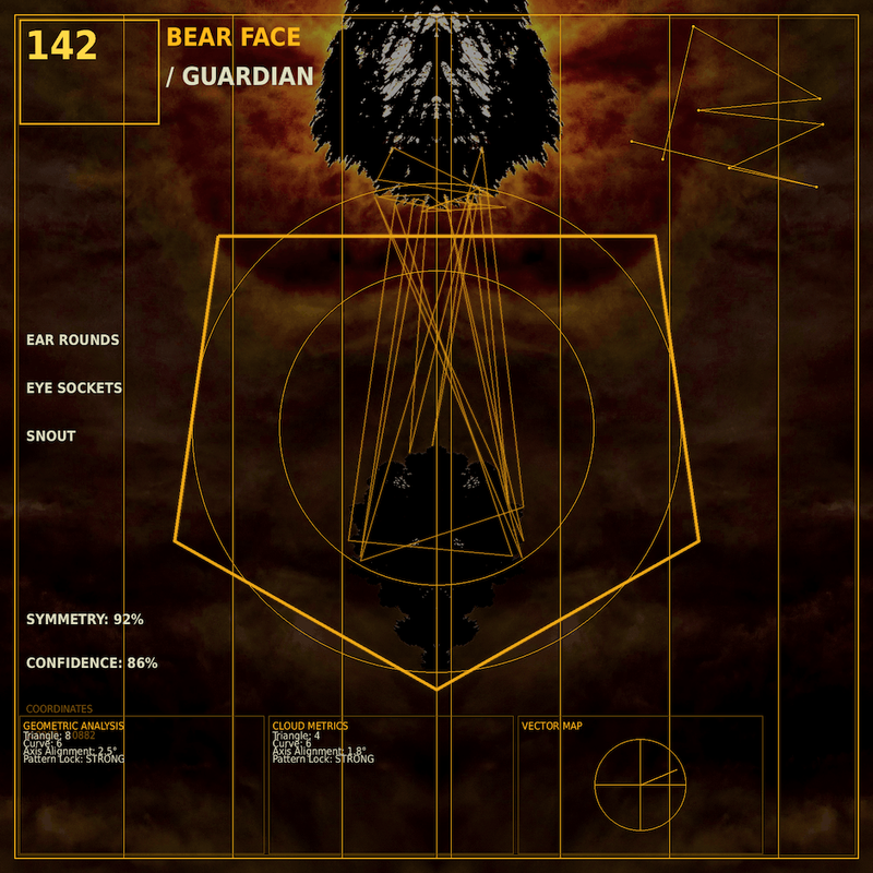Bear face