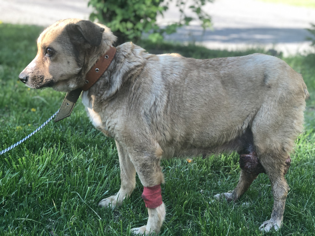 463ADC5E-1EC8-4C23-9ED9-CD0793AC8AE0