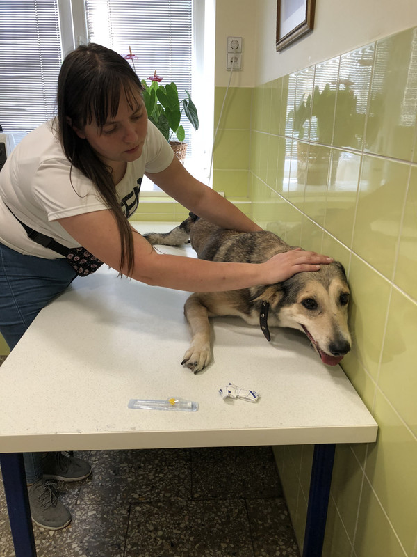 D4D835DB-7A38-48C7-B42D-4ED7CB97CC9D