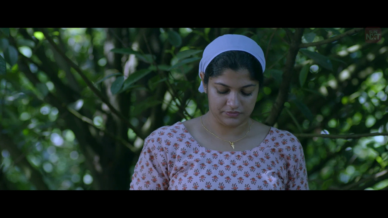 vlcsnap 2026 02 11 15h44m46s503