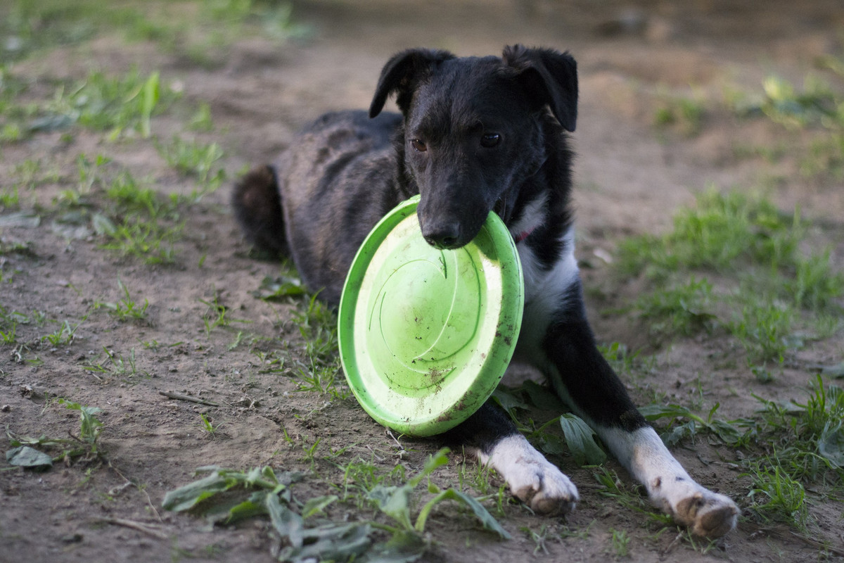 Дакота_06_18_19