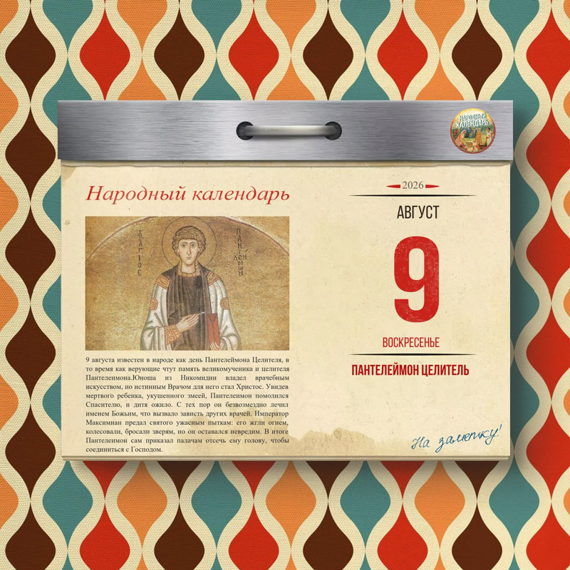 [Изображение: photo-2026-08-09-08-20-05.jpg]
