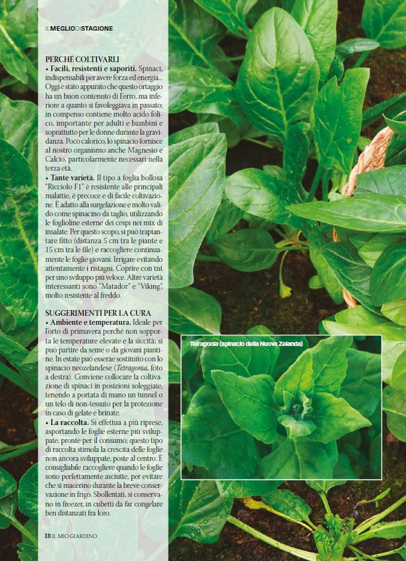 il mio Giar Feb Mar 2026 (3)