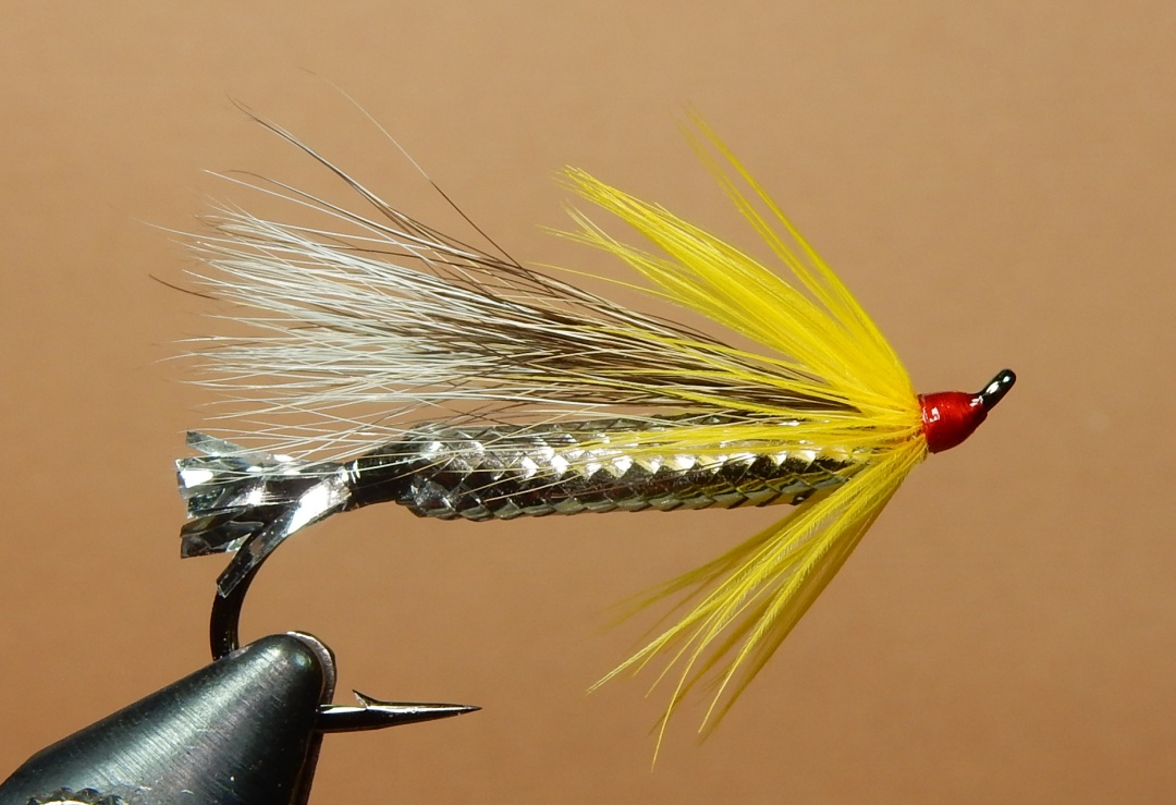 Capelin_Body_Cosseboom_1080.jpg
