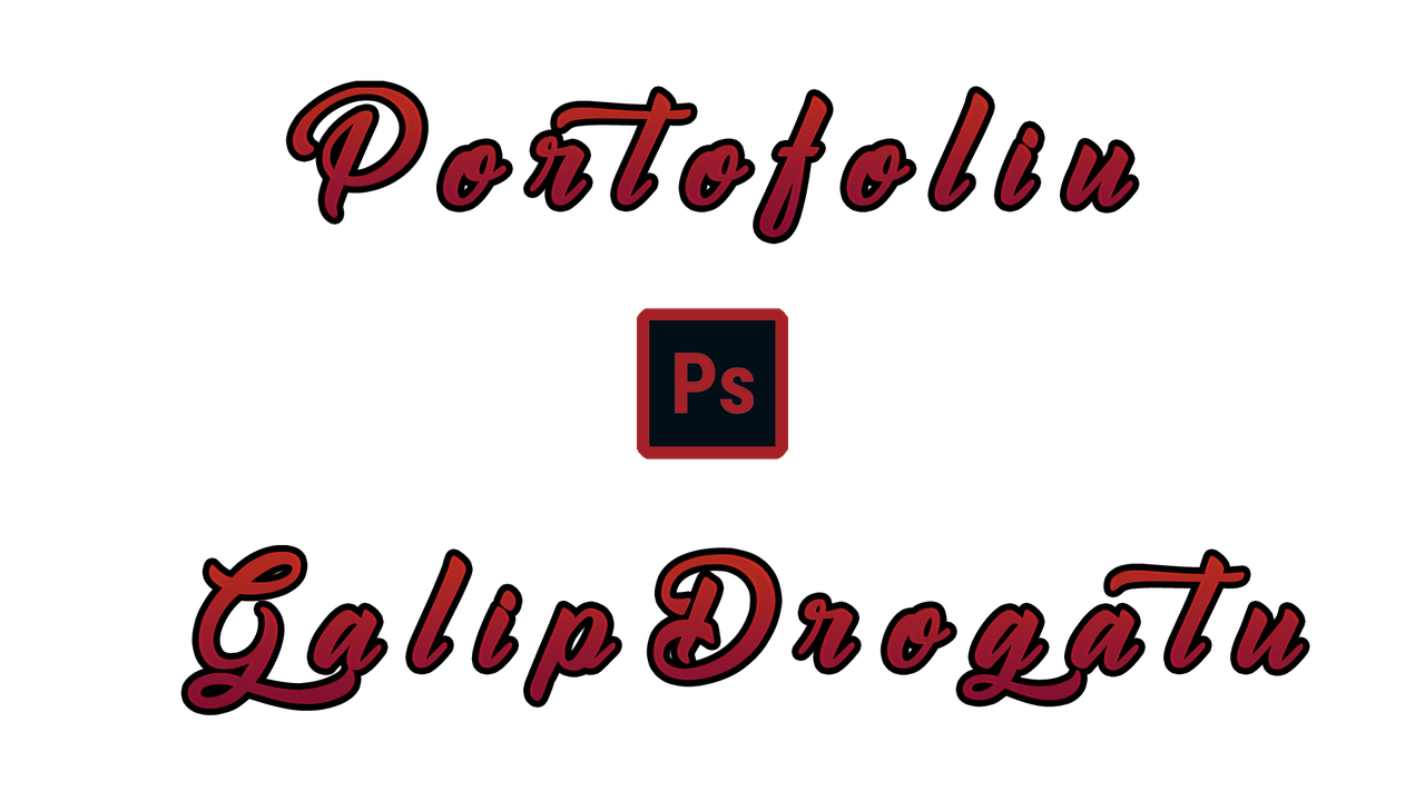 Portofoliu.png
