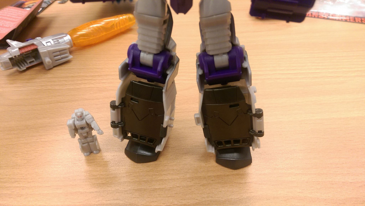 13301463_272157299801371_7453756490401711478_o