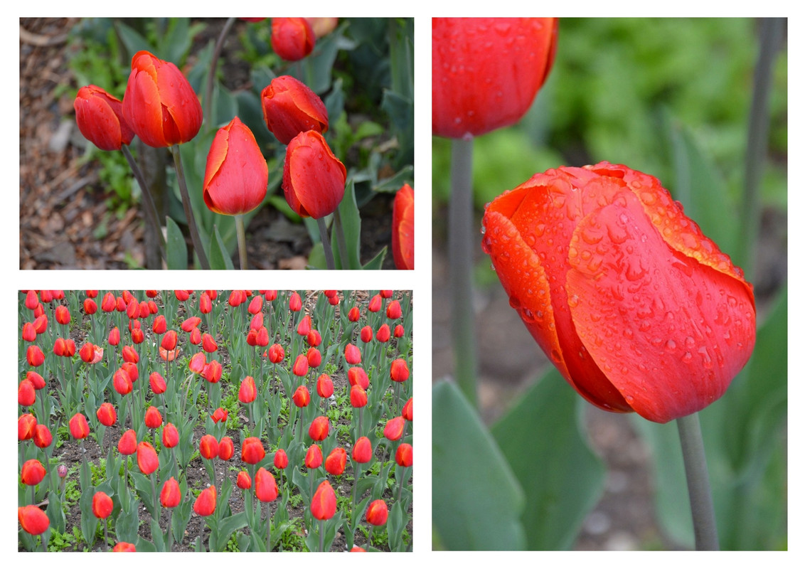 Новый коллаж.jpg 5