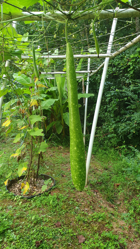 [Image: 20210810-112215.jpg]