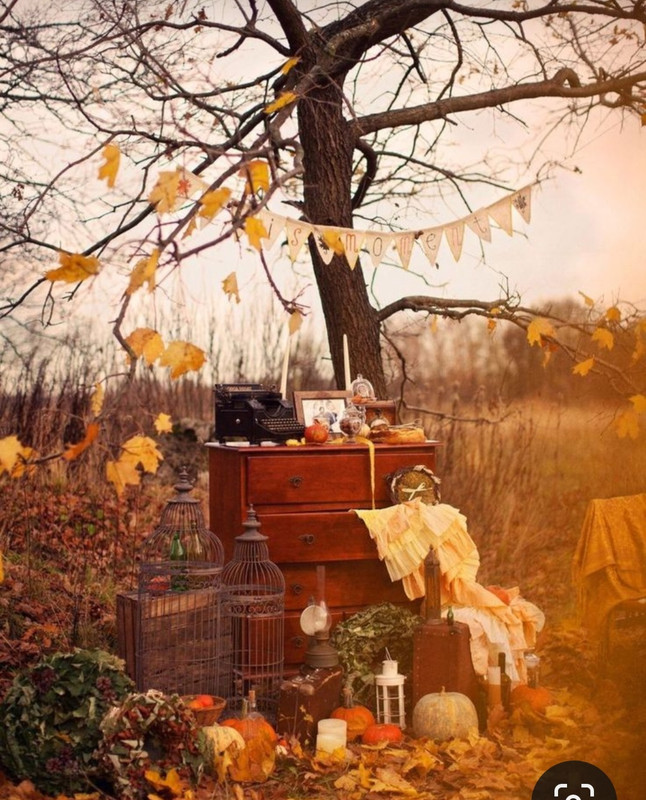 Screenshot_20231130_235701_Pinterest