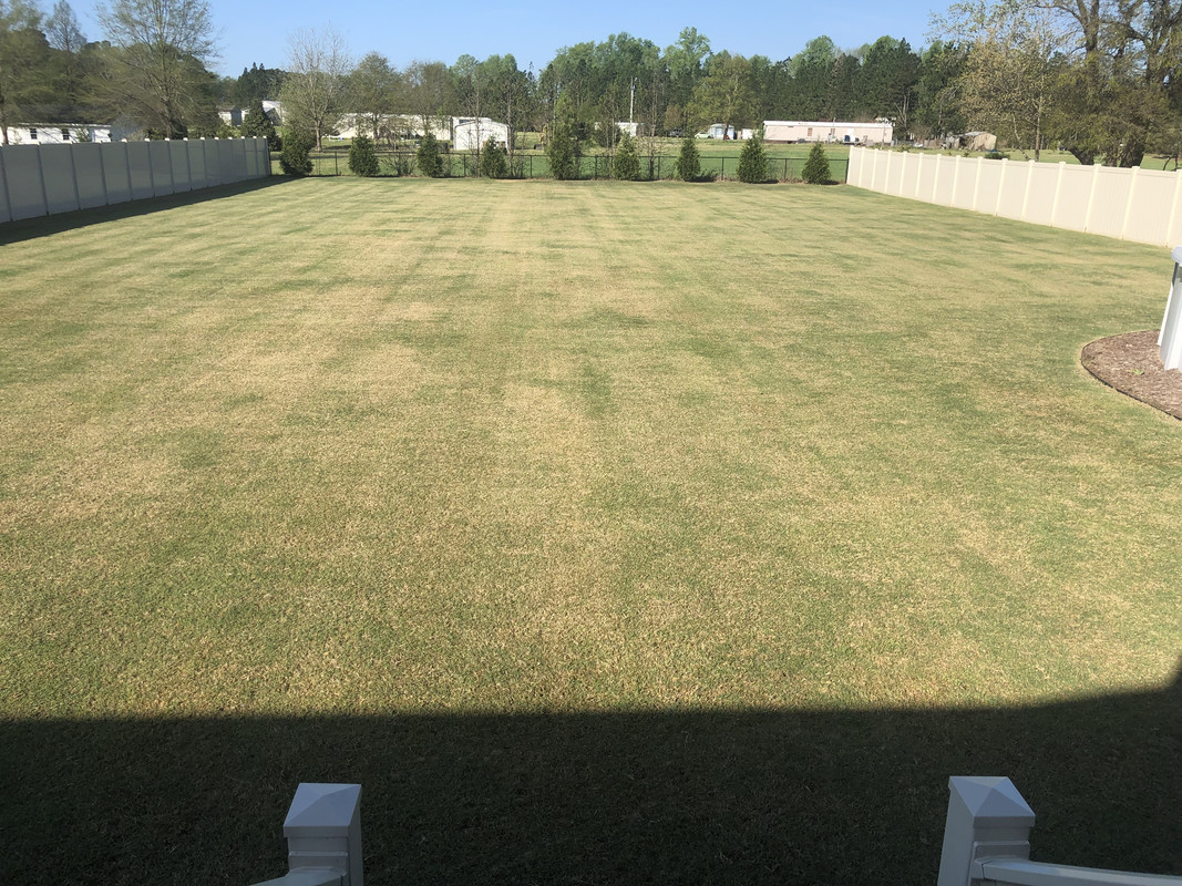 3C0033C4-3AA4-4901-AFAD-0EAF481F3B53