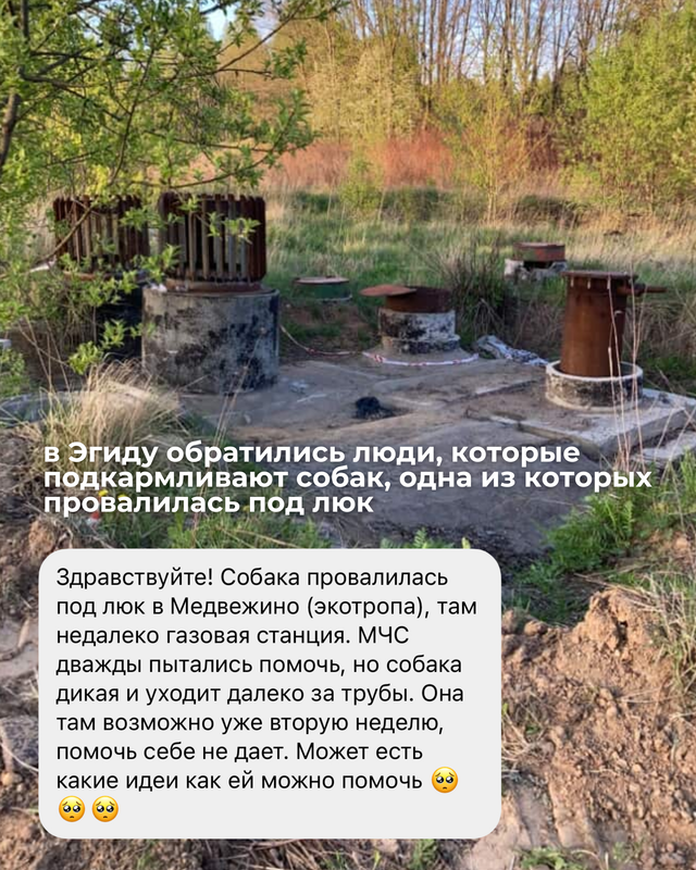 карусель постов