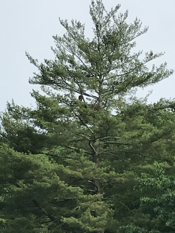 AB401143-F767-4FA7-8B4D-0EF6336FA165