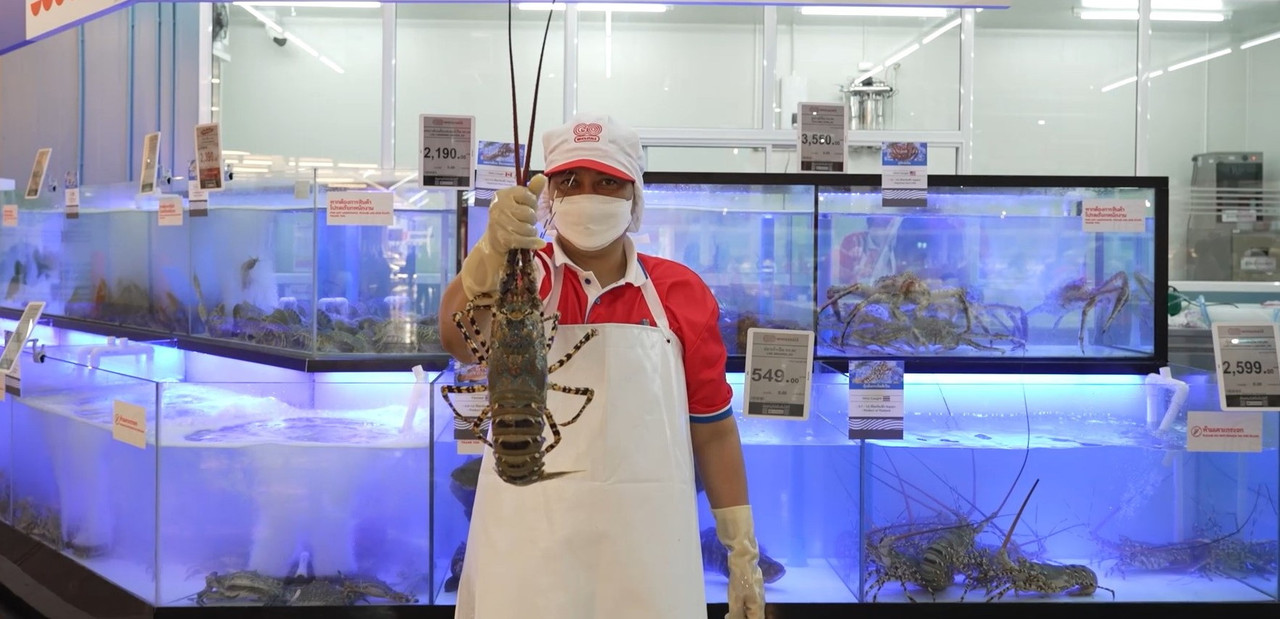 กุ้งมังกร 7 สีภูเก็ต 6