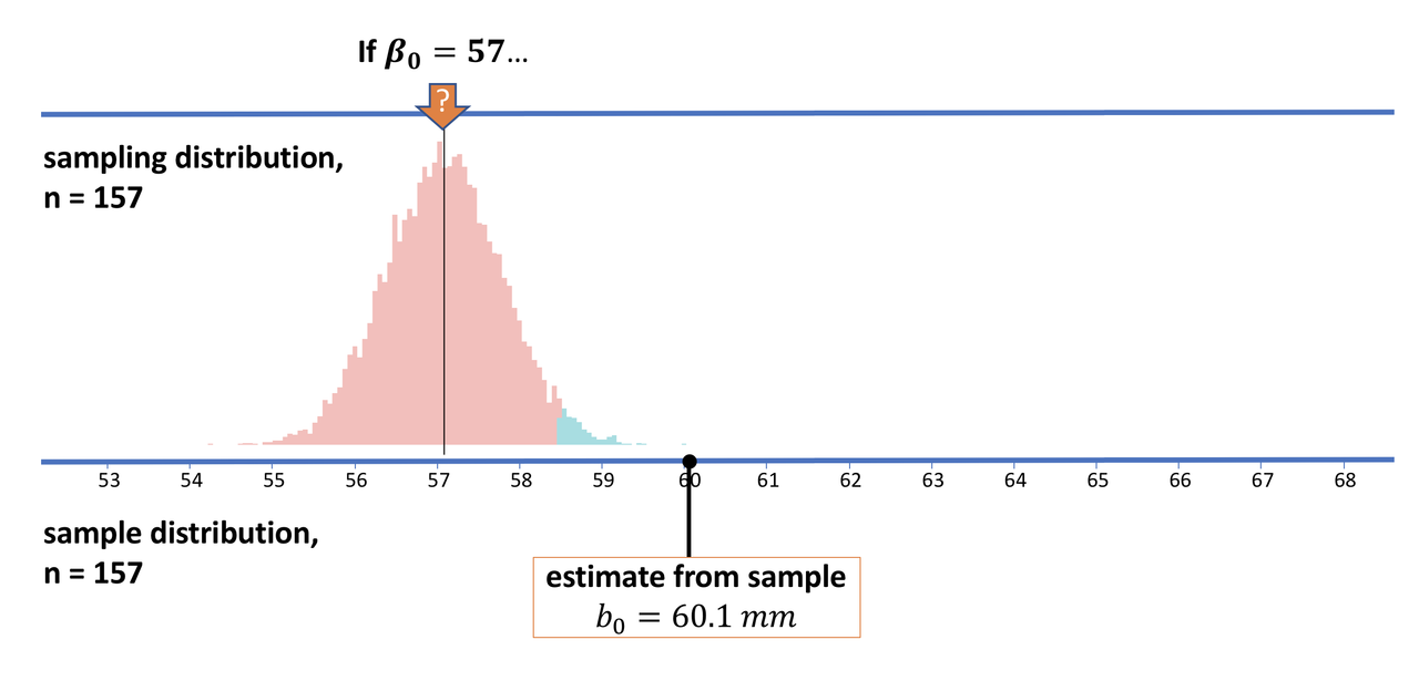 A series of graphs with three parts. The top is the DGP, or 0. The middle is the sampling distribution. The bottom is the sample mean, b0.