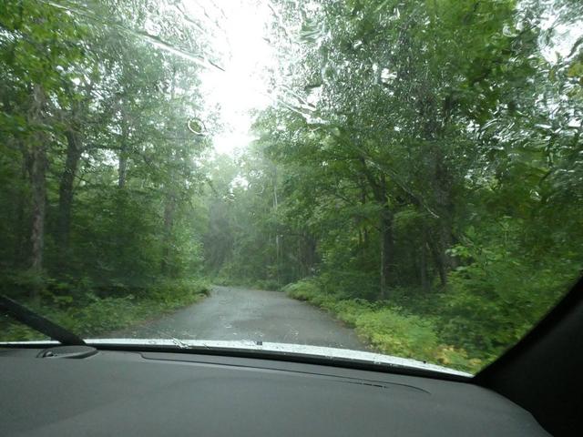 Parque Provincial de Algonquin - DOS SEMANAS EN EL ESTE DE CANADÁ (ONTARIO Y QUÉBEC) (10)