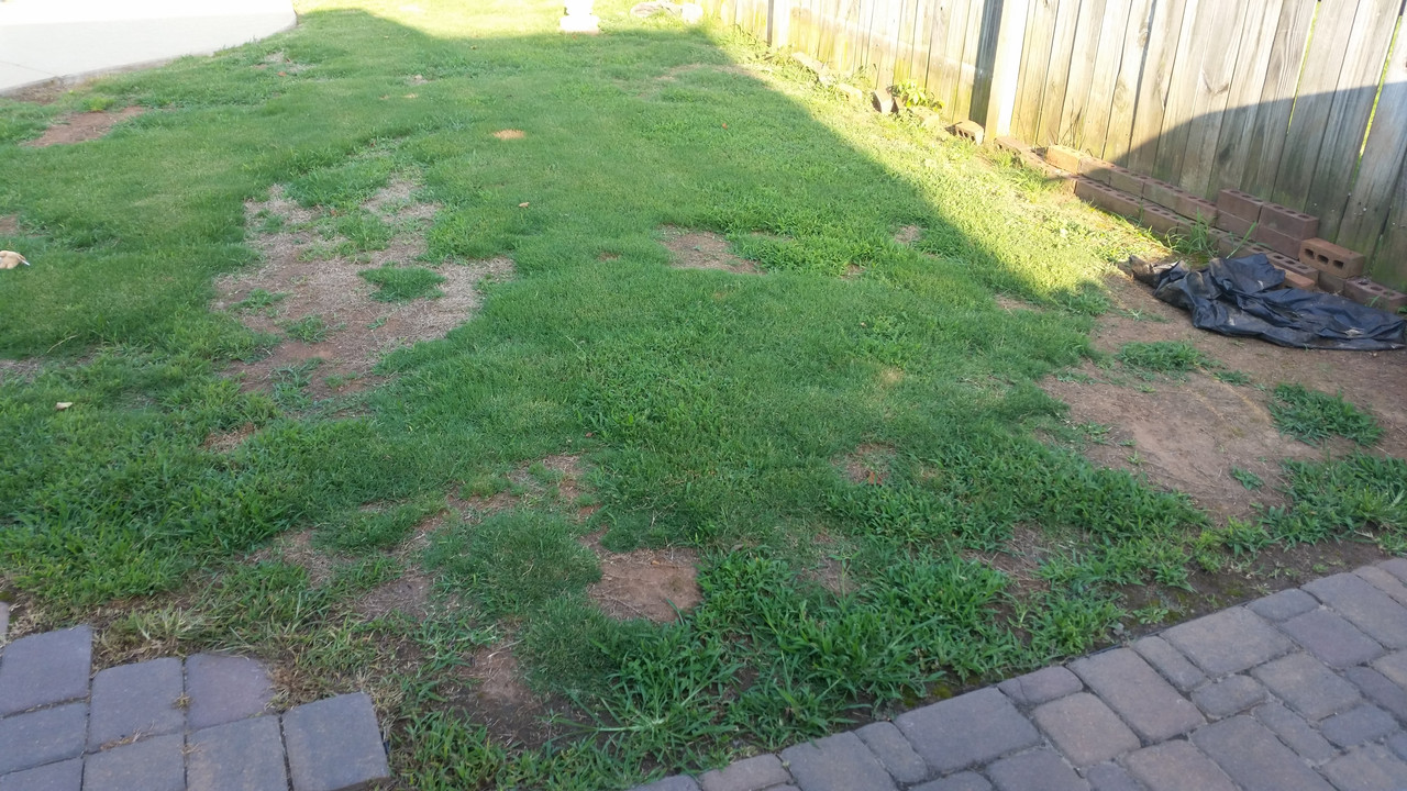 20180612_190833_1529632169440