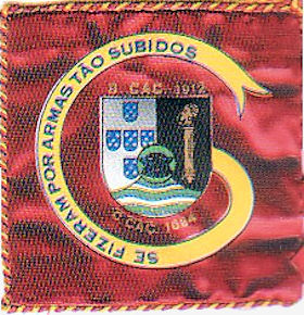 CCac1684-1