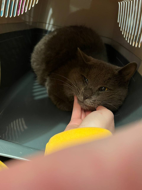 07ADA926-530C-494B-BB7C-AB8F8728D574