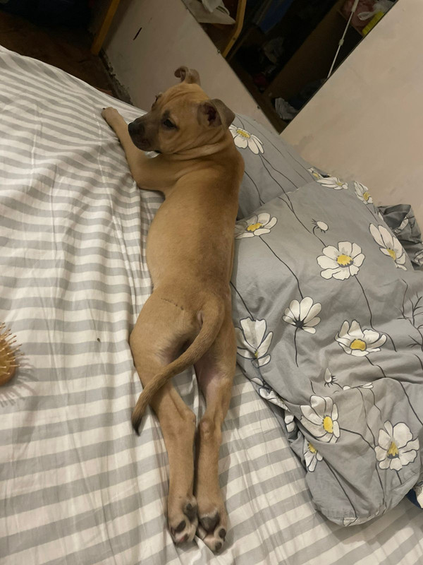 16FE7703-A4C5-4609-BB18-86EC3B51D4CA